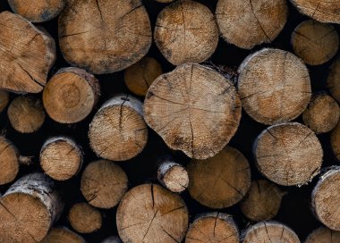 Yığılmış ahşap kütüklerin çarpıcı yakın plan görüntüsü, yumuşak ışıklandırma altında ağaç halkalarının doğal dokularını ve desenlerini sergiliyor..