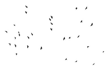  Şeffaf temiz bir arkaplanda izole edilmiş kuş sürüsü