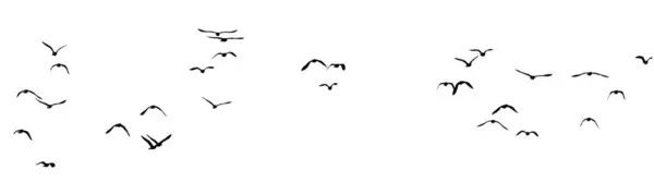 Temiz bir arkaplanda izole edilmiş kuş sürüsü