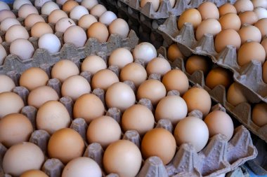 Pazar 'daki varton kutusunda yumurtalar