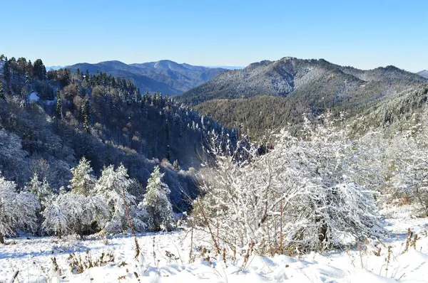 Kış manzarası, dün yolundaki bolu.