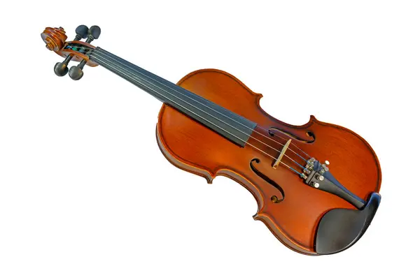 Beyaz arkaplanda keman izole