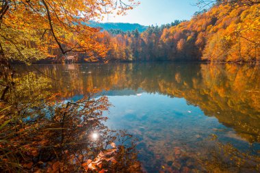 Yedigoller - Bolu hindisinin dünkü sonbahar renkleri
