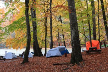 Yedigoller - Bolu hindisinin dünkü milli park manzarası