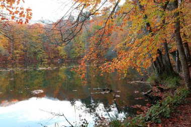 Yedigoller - Bolu hindisinin dünkü milli park manzarası