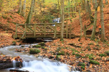 Yedigoller - Bolu hindisinin dünkü milli park manzarası