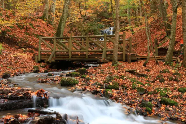 Yedigoller - Bolu hindisinin dünkü milli park manzarası