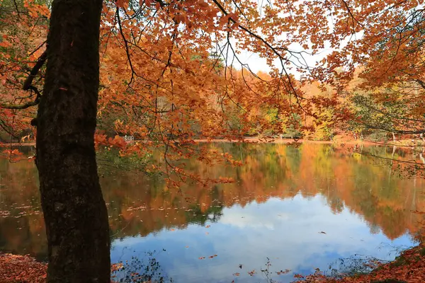 Yedigoller - Bolu hindisinin dünkü milli park manzarası