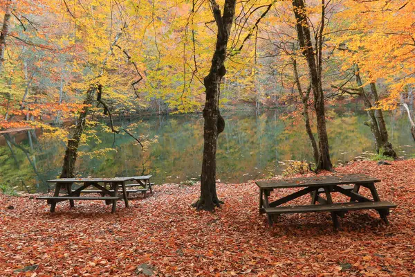 Yedigoller - Bolu hindisinin dünkü milli park manzarası