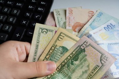 Hesap makinesi ve para (Türk lirası - usd dolar )  