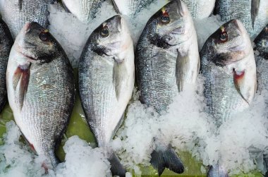 Taze ve çiğ, yaldızlı başlıklı, buzdaki pazarda satılık balık.                      