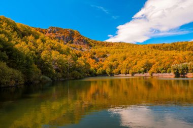 Karagl ubuk Ankara - autumn landscape with lake and trees