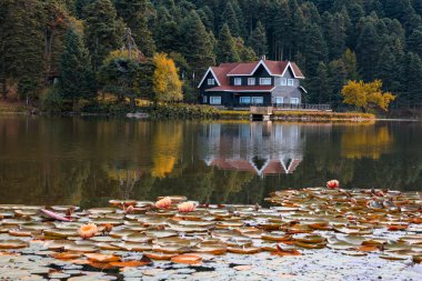 Bolu Trkiye 'deki Glck Doğa Parkı