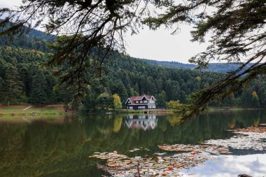 Bolu Trkiye 'deki Glck Doğa Parkı