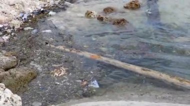 Kirlilik Krizi, Kıyı Kasabası Plastik Atık ile Mücadele - Kıyı Kasabası Kirlilikle Mücadele