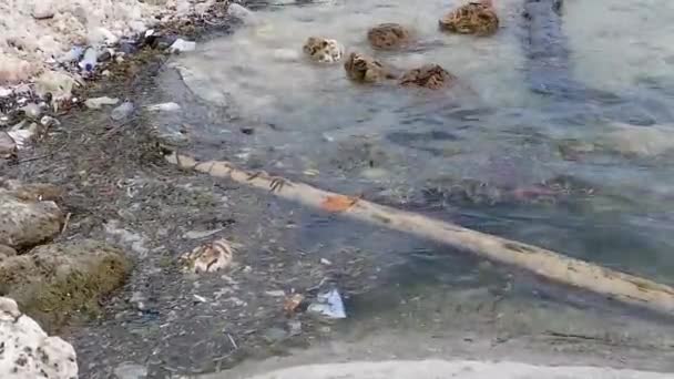 汚染危機 景観的な沿岸タウンはプラスチック廃棄物との闘い 沿岸タウンは汚染との闘い — ストック動画