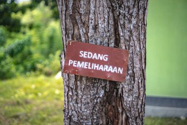 Baubau, Endonezya, 15 Haziran 2024 - Ağaca iliştirilmiş bir duyuru panosu