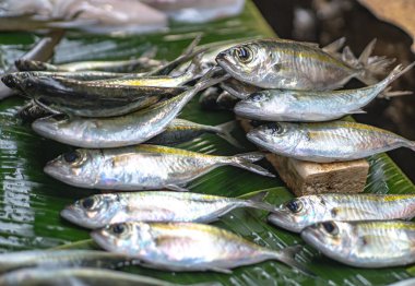 Freshly caught fish are displayed at a traditional Indonesian market for sale. Seafood concept, trade. clipart