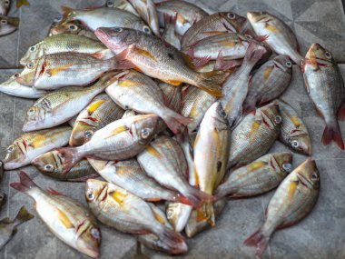 Taze yakalanmış balıklar geleneksel Endonezya pazarında satışa sunuluyor. Deniz ürünleri, ticaret.