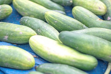 Taze salatalıklar geleneksel Endonezya pazarında satışa sunuluyor..