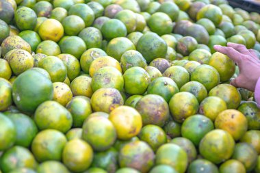 Taze toplanmış Tatlı Portakallar geleneksel Endonezya pazarında satışa sunuluyor.