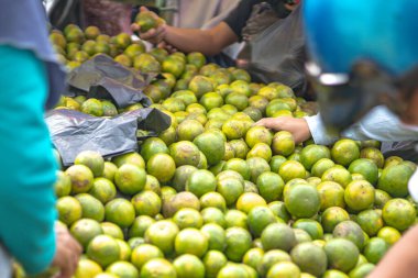 Endonezya, 5 Ekim 2024 - Müşteriler geleneksel Endonezya pazarından tatlı portakal (Citrus aurantium) seçiyorlar