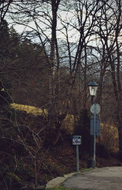 23 Kasım 2021 'de Andorra' daki ormanda yol