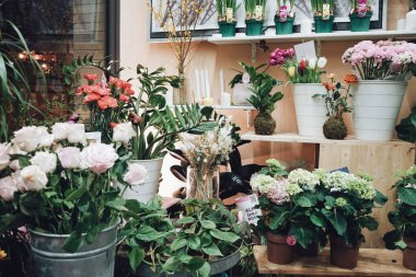 7 Mart 2024 'te atölyelerin elle yapıldığı çeşitli renklerdeki çiçeklerle dolu bir çiçekçi, Barselona.