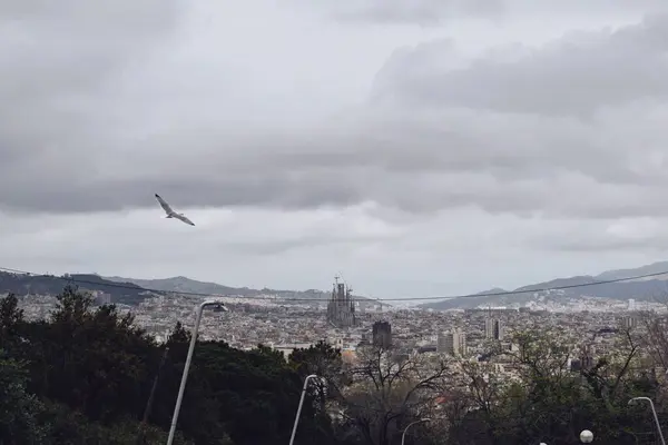 바르셀로나의 도시의 파노라마 스페인 2024 스톡 이미지