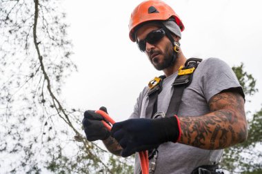 Güvenlik kaskı ve emniyet kemeri takan ağaççılar ağaç budama ve bakım işleri için halat hazırlıyorlar.