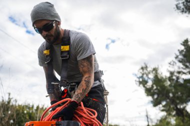 Oduncu ağaç budama için tırmanma halatı hazırlıyor.