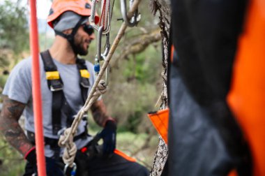 Ağaççı emniyet kemeri ve kask takıyor, ağaç budamak için halat ve karabinalar kullanıyor.