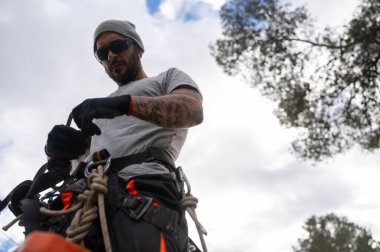 Emniyet kemeri takan ağaç cerrahı tırmanma iplerini kontrol ediyor ağaç budama işine hazırlanıyor.