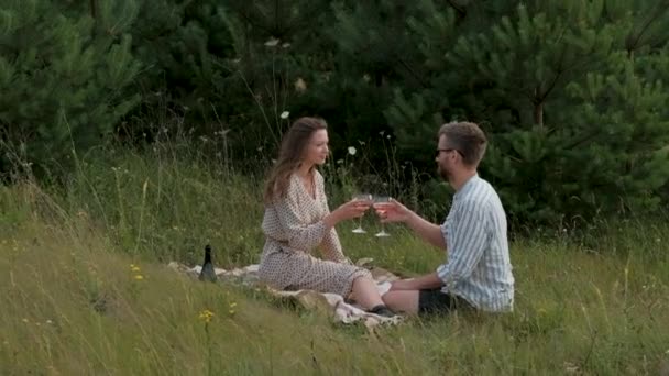 Young Couple Enjoying Weekend Picnic Together Happy Woman Man Drinking — Stock video