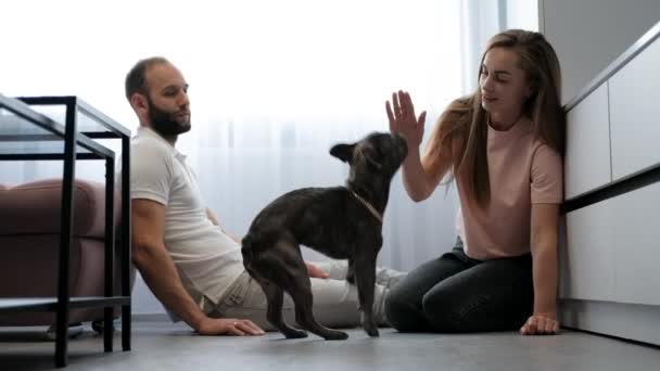 Cheerful Woman Man Having Fun Time Pet French Bulldog Home — Stockvideo