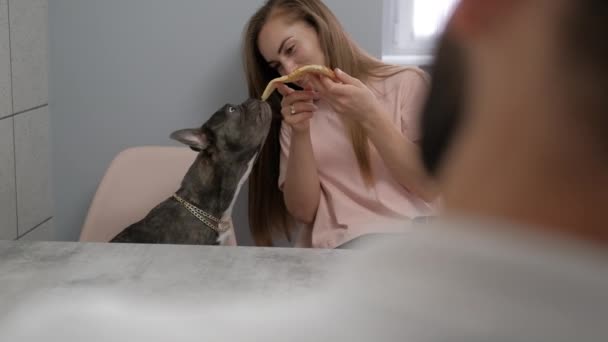 Young Woman Feeding Her Pet Pizza Small French Bulldog Eating — Vídeo de stock