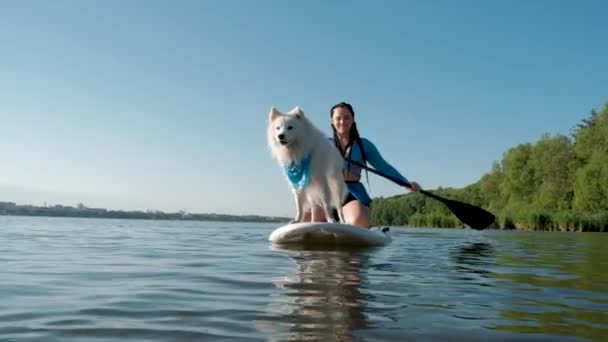 Cheerful Woman Paddleboarding Her Pet City Lake Snow White Japanese — Αρχείο Βίντεο