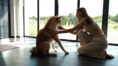 Young woman plays with her dog Akita at home