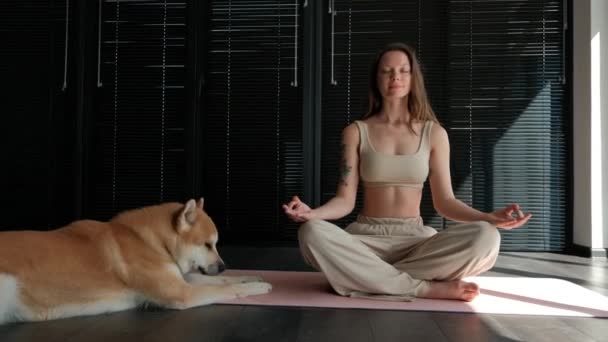 Relaxed Young Woman Meditating Lotus Position Floor Home Her Akita — Stockvideo