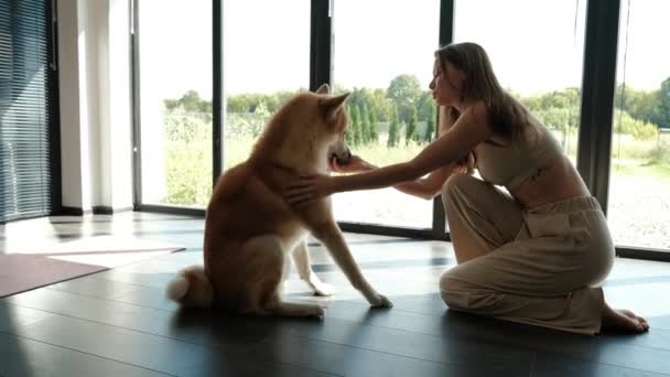 Tânăra Femeie Joacă Câinele Akita Acasă — Videoclip de stoc