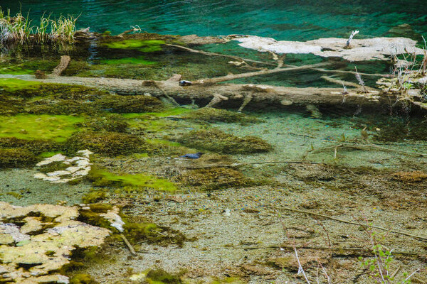 hanging lake water during spring colorado usa. High quality photo