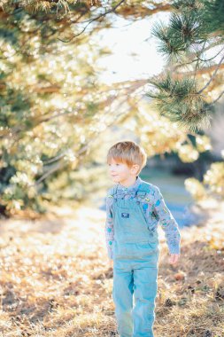 Mavi elbiseli beyaz bir çocuk parkta çam ve noel ağaçlarının yanında yürüyor. Yüksek kalite fotoğraf