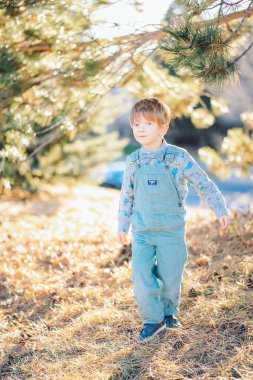 Mavi elbiseli beyaz bir çocuk parkta çam ve noel ağaçlarının yanında yürüyor. Yüksek kalite fotoğraf