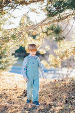 Mavi elbiseli beyaz bir çocuk parkta çam ve noel ağaçlarının yanında yürüyor. Yüksek kalite fotoğraf