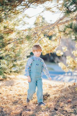 Mavi elbiseli beyaz bir çocuk parkta çam ve noel ağaçlarının yanında yürüyor. Yüksek kalite fotoğraf