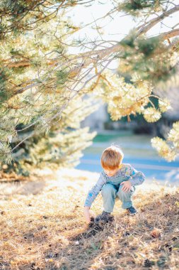 Mavi elbiseli beyaz bir çocuk parkta çam ve noel ağaçlarının yanında yürüyor. Yüksek kalite fotoğraf