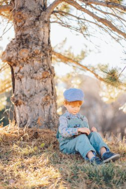 Ormandaki bir çam ağacının altında oturan kızıl saçlı çocuk ya da mavi süitte park eden ve papyon takan çocuk çam kozalakları tutuyor. Yüksek kalite fotoğraf