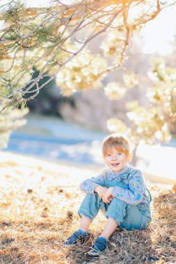Ormandaki bir çam ağacının altında oturan kızıl saçlı çocuk ya da mavi süit ve papyonla park eden. Yüksek kalite fotoğraf