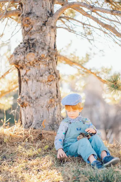 Ormandaki bir çam ağacının altında oturan kızıl saçlı çocuk ya da mavi süitte park eden ve papyon takan çocuk çam kozalakları tutuyor. Yüksek kalite fotoğraf
