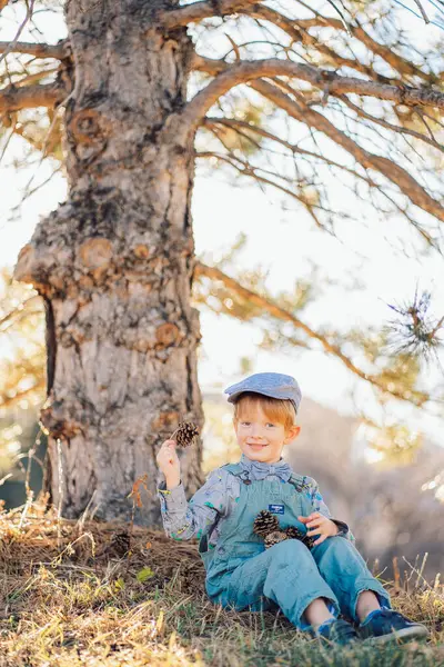 Ormandaki bir çam ağacının altında oturan kızıl saçlı çocuk ya da mavi süitte park eden ve papyon takan çocuk çam kozalakları tutuyor. Yüksek kalite fotoğraf